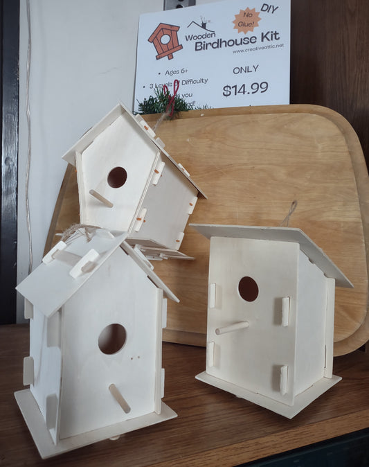 Birdhouse DIY Kit